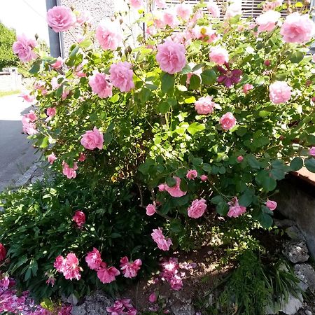 Gite Les 27 Roses Et Plus Châtel-Censoir Eksteriør bilde
